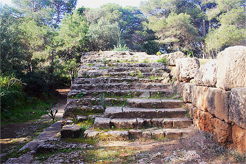 Escalier du Forum 2