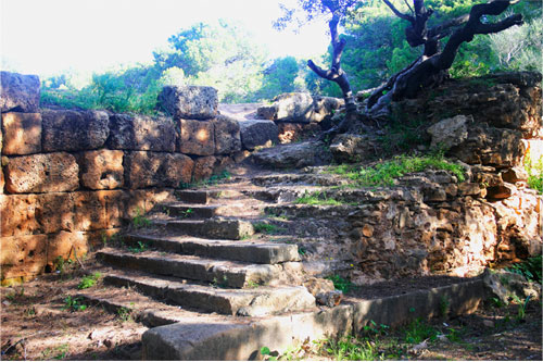 Escalier du Forum