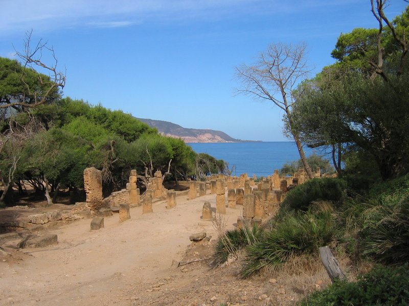 Tipaza_-_ruines_romaines.