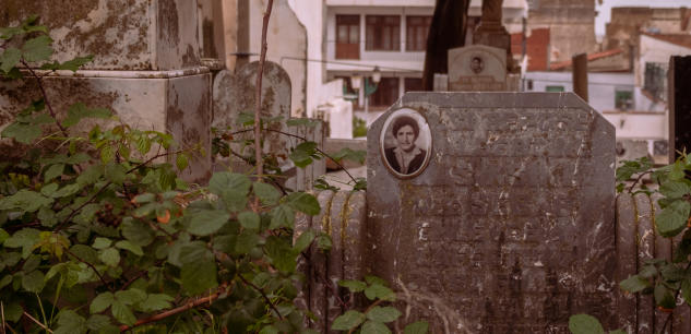 En Algérie, la mort lente des cimetières pieds-noirs . 6a00d834529ffc69e2027880705e2b200d-800wi