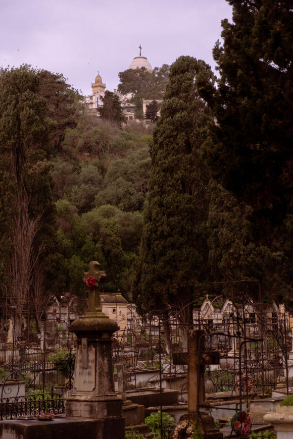 En Algérie, la mort lente des cimetières pieds-noirs . 6a00d834529ffc69e2027880705e3b200d-800wi