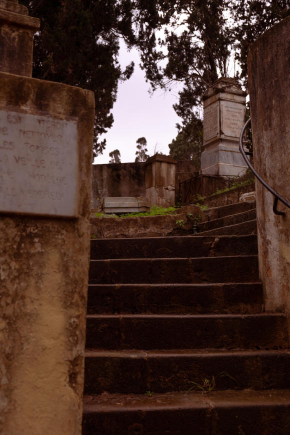 En Algérie, la mort lente des cimetières pieds-noirs . 6a00d834529ffc69e20282e1490696200b-800wi