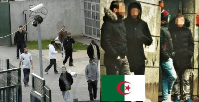 image from www.algerie360.com