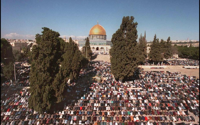 image from www.middleeasteye.net